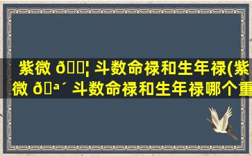 紫微 🐦 斗数命禄和生年禄(紫微 🪴 斗数命禄和生年禄哪个重要)
